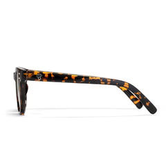 TORÖ X TURTLE BROWN