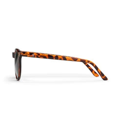 TORÖ TURTLE BROWN