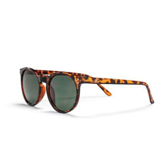 TORÖ TURTLE BROWN