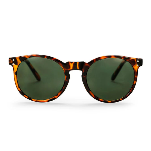 TORÖ TURTLE BROWN