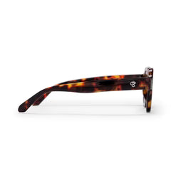 THE AK TORTOISE