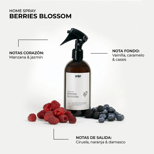 Spray Home Berries Blossom 350 ML