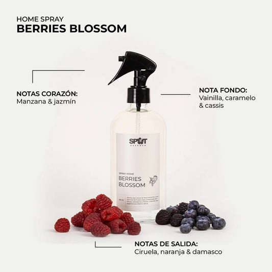 Spray home Berries Blossom LH 500 ml